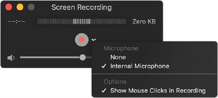 Quicktime Player Interface