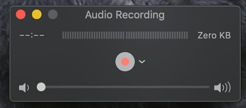 QuickTime Audio Setting