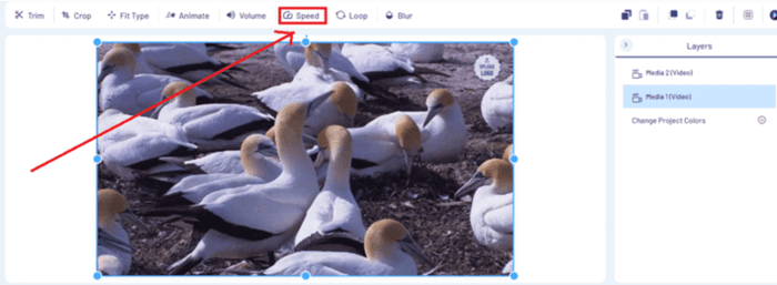 Change Video Speed Online InVideo