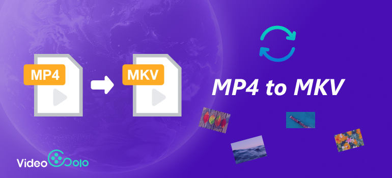 MP4 To MKV