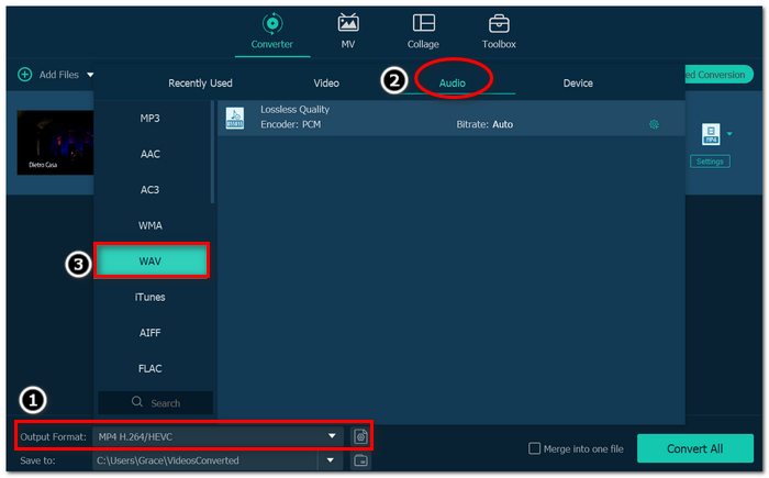 Choose Wav Format