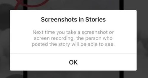Screenshot In Story