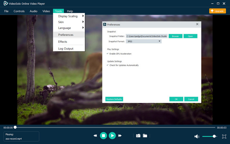 Adjust Playback Preferences