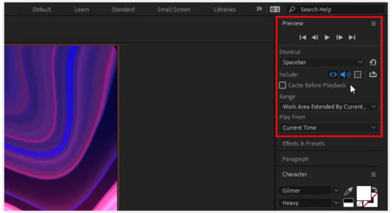 Enable Audio Checkbox