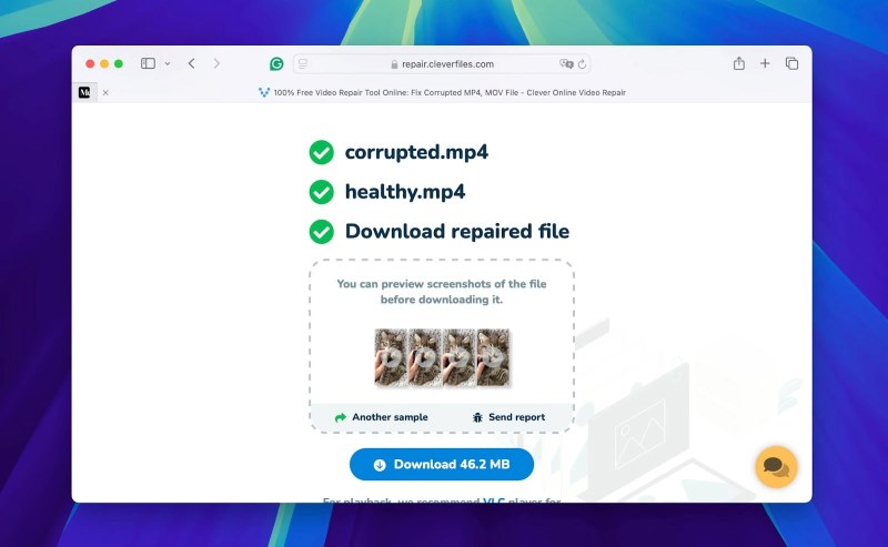 Download Repaired MP4 Video