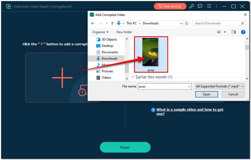 Add Damage Video Codec