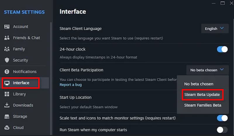 Steam Settings